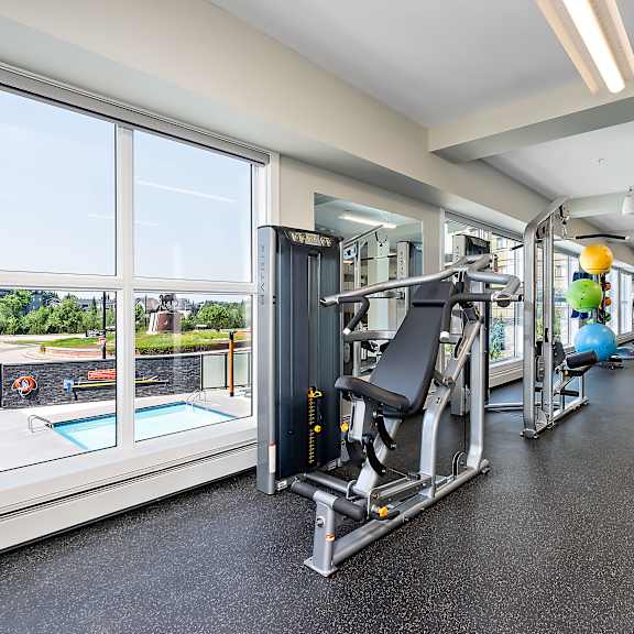 a gym with a view of a pool and trees.