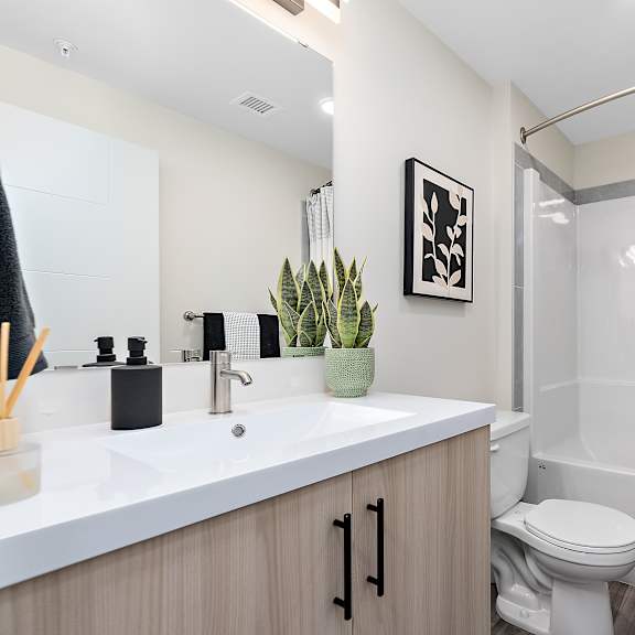 a bathroom with a white sink, toilet, and bathtub.
