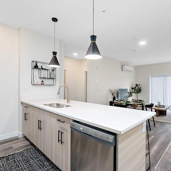 a modern kitchen with a dishwasher and sink.