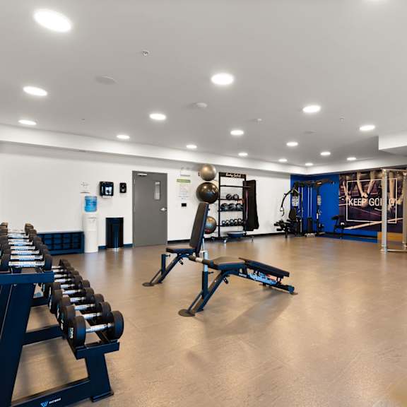 a gym with a variety of equipment including dumbbells, weight plates, and a squat rack.