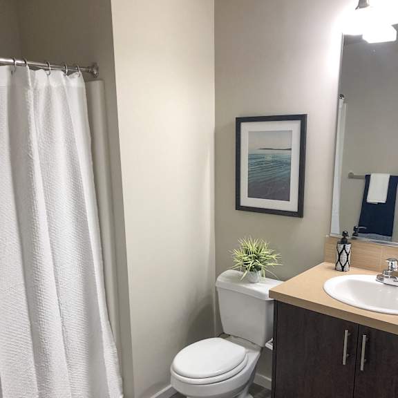 interior - bathroom