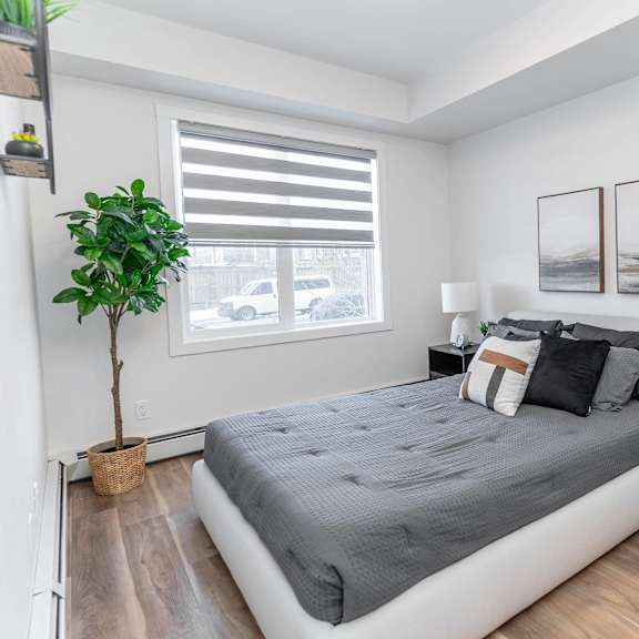 a bedroom with a bed, nightstand, and a plant.at vibe apartments at arbour lake, calgary alberta
