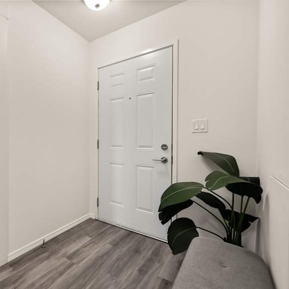 a white door is in a room with a grey couch and a plant.