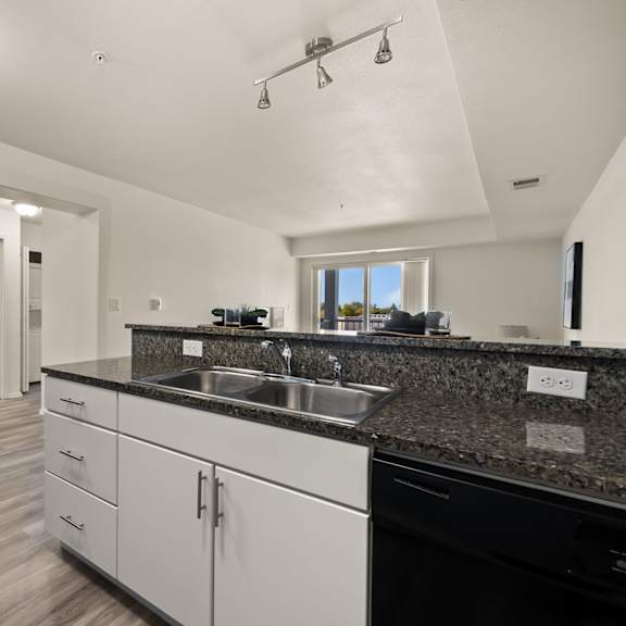 a modern kitchen with white cabinets and a black dishwasher.