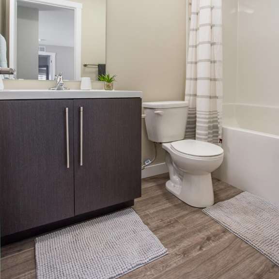 interior - bathroom