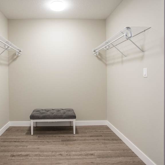 interior - walk-in closet