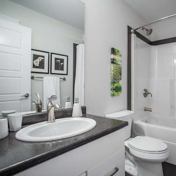 interior - bathroom