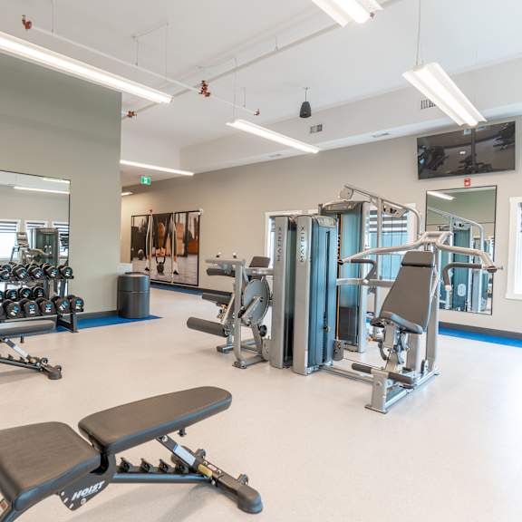 a gym with a variety of equipment including weights and a bench.at vista apartments at edgemont, edmonton, t6m 1j4