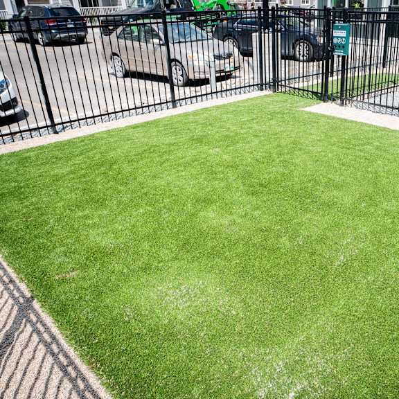 exterior - dog run