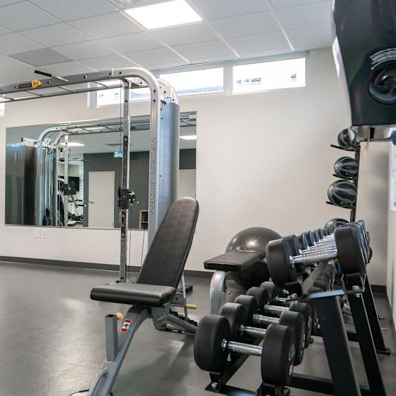 a gym with a variety of equipment including a treadmill, weights, and a bench.