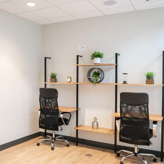 a room with two chairs and two shelves with plants on them.