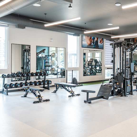 a spacious gym with a variety of equipment including treadmills, weights, and exercise machines.