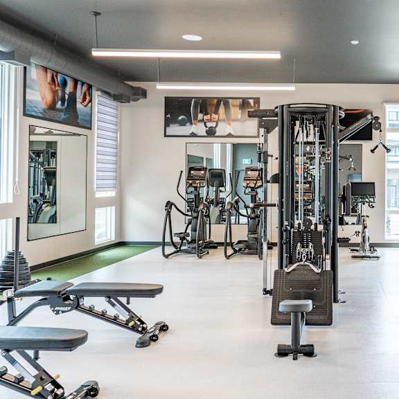 a gym with a variety of equipment including weights and cardio machines.