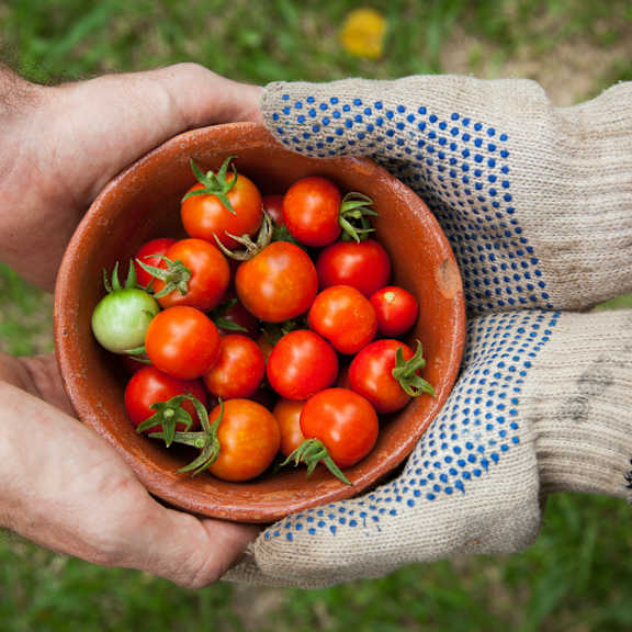 person is holding a bowl of tomatoes at the artisan at rangeview, calgary, ab