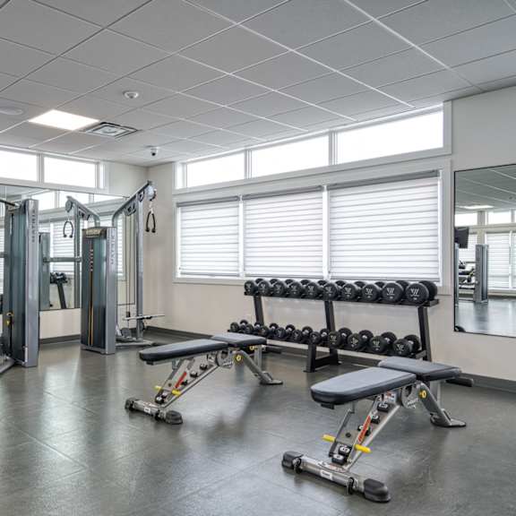 a gym with a variety of equipment including weights and a bench.