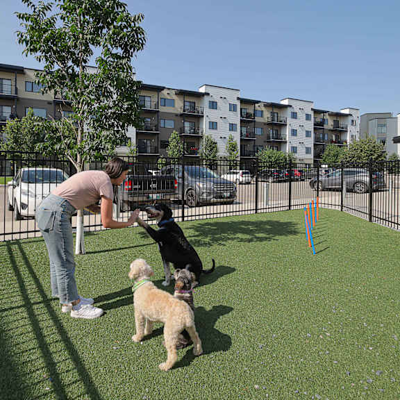 a woman is playing with her dog in a dog park.