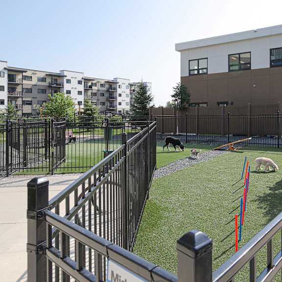 a woman is walking her dog in a fenced yard.
