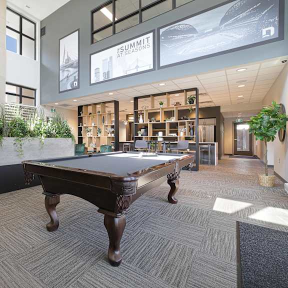 a room with a pool table and a plant on the side.