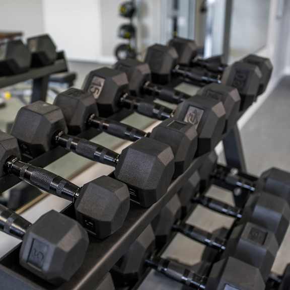 a set of dumbbells are arranged on a rack in a gym.