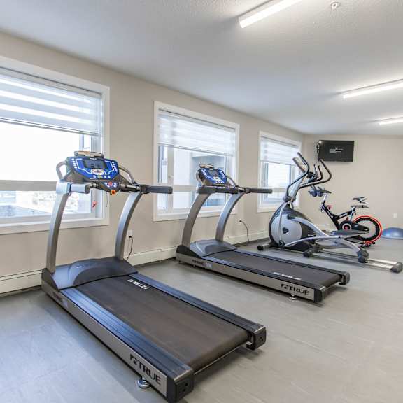 a treadmill and a stationary bike are in a room with windows.