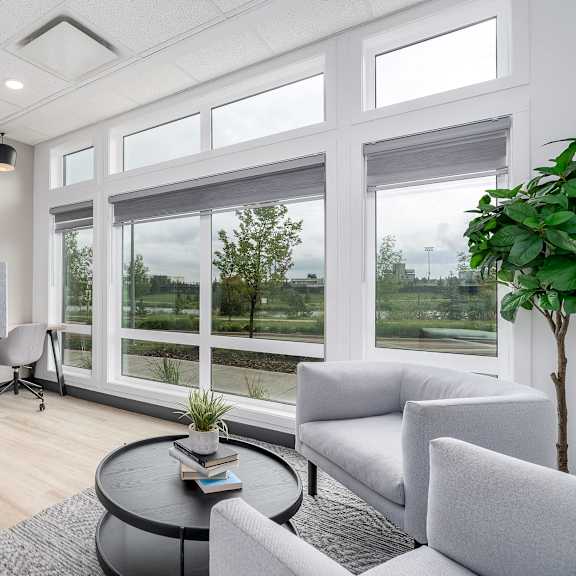 a room with a table, chairs, and a plant.