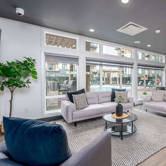 a modern living room with a grey couch, a coffee table, and a potted plant.