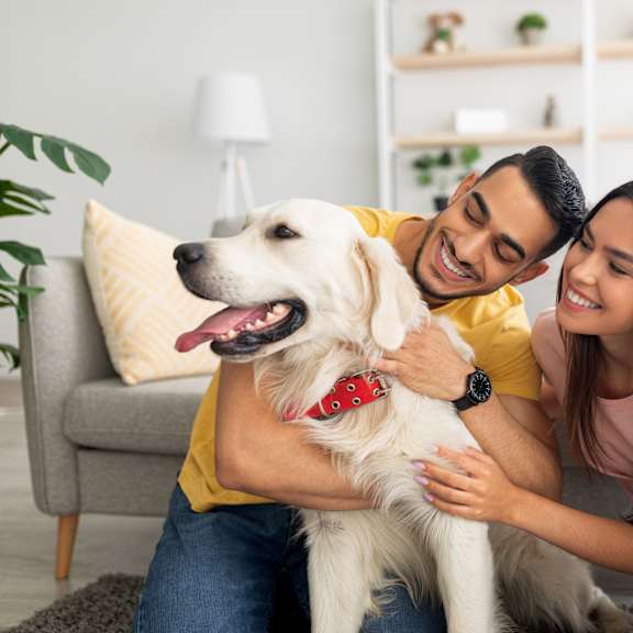 couple hugging a dog at the artisan at rangeview, calgary, alberta