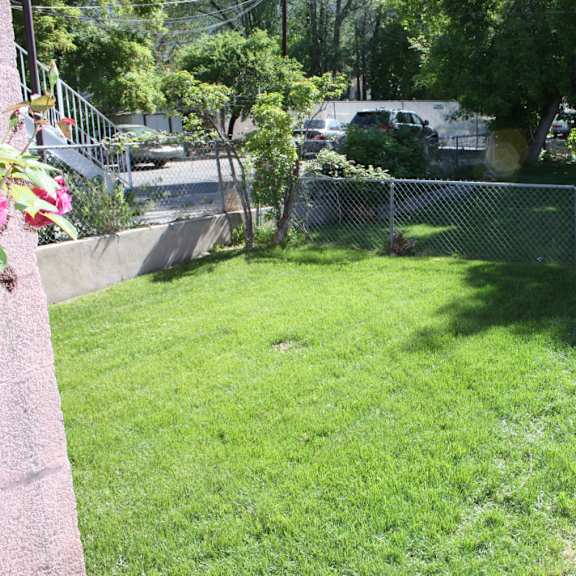 a backyard with a green lawn and a fence.