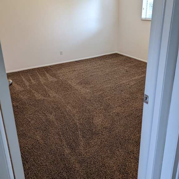 a room with brown carpet and a light on the ceiling.