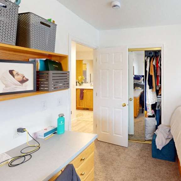 a bedroom with a bed, a desk, and a closet.