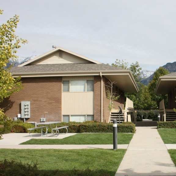 a row of houses with a mountain in the background.