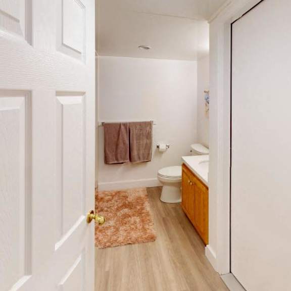 a bathroom with a toilet, sink, and a rug on the floor.