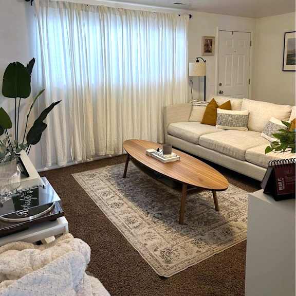a living room with a couch, a coffee table, and a rug.