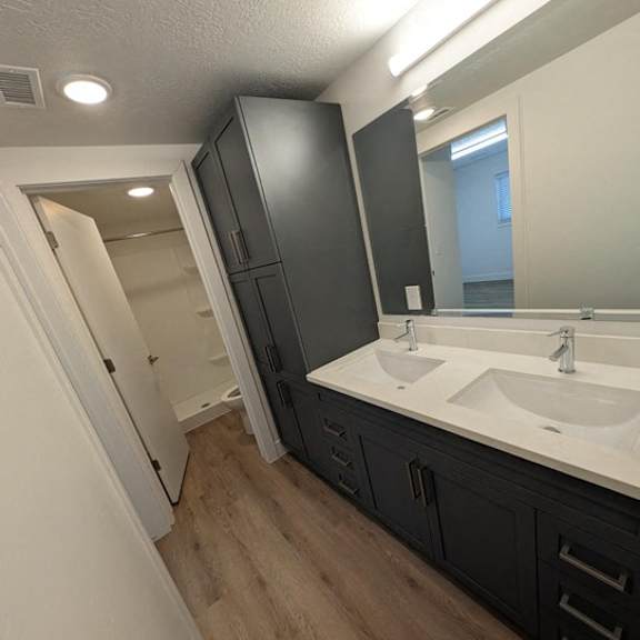 a bathroom with a sink and a mirror