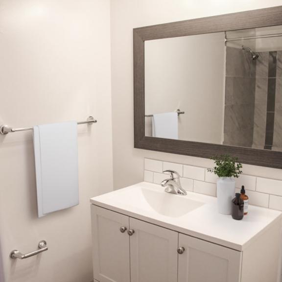 a bathroom with a sink and a mirror