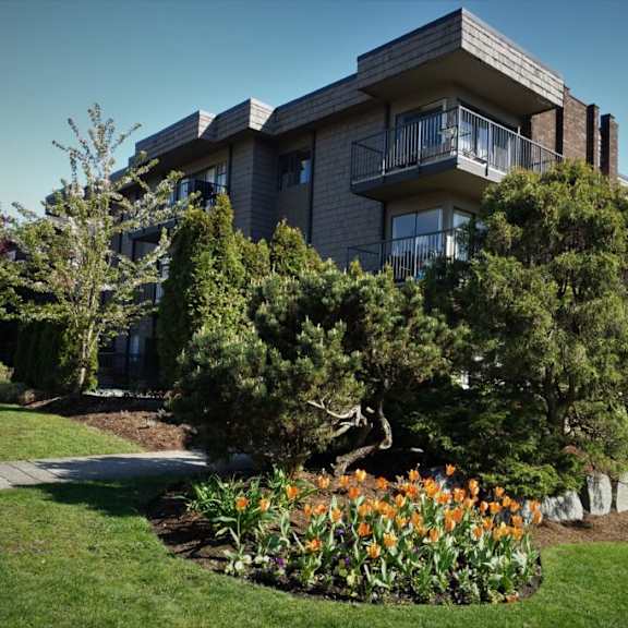 a black building with a garden in front of it