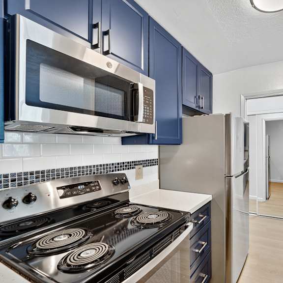 a kitchen with blue cabinets and stainless steel appliances.