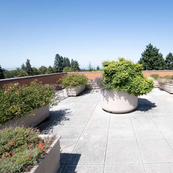 a courtyard with a large planter in the middle.