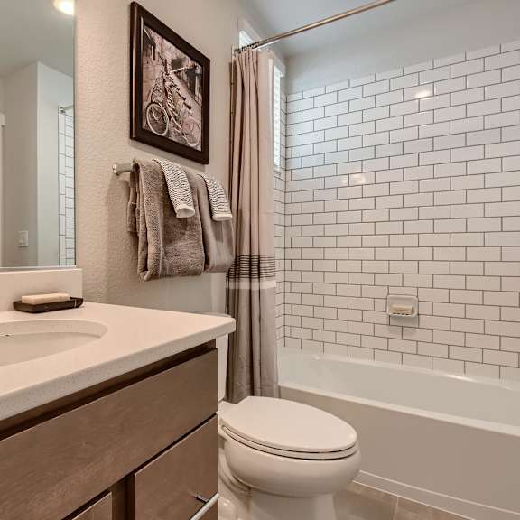 a bathroom with a sink and a toilet and a shower