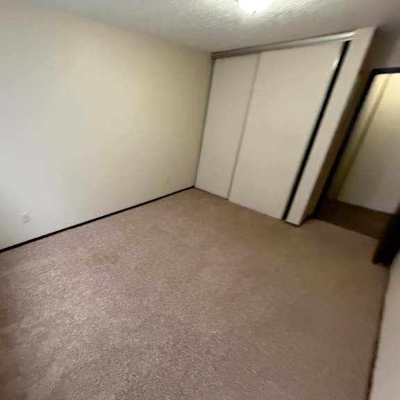 a room with a carpeted floor and a closet with white doors.