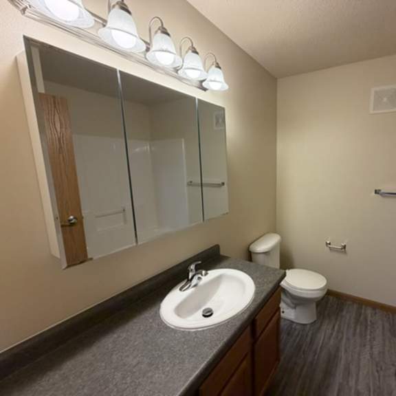 a bathroom with a sink, toilet, and mirror.