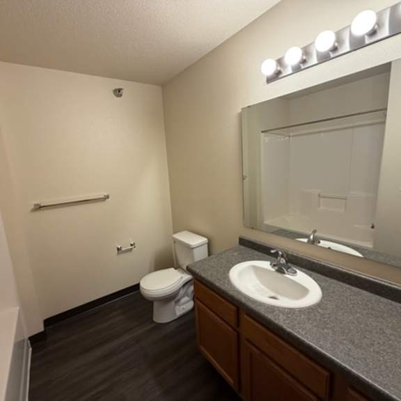 a bathroom with a toilet, sink, mirror, and lighting fixture.