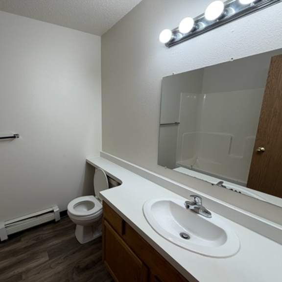 a bathroom with a toilet, sink, mirror, and lights.