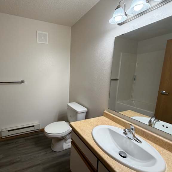 a bathroom with a toilet, sink, mirror, and a heater.