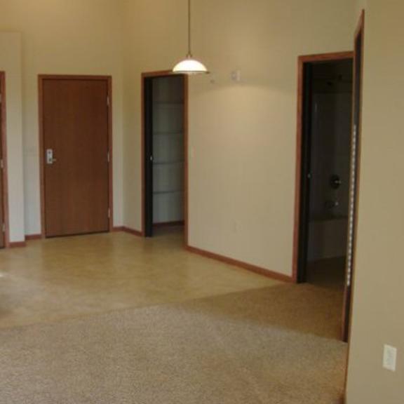 a room with a brown carpet and a brown door.