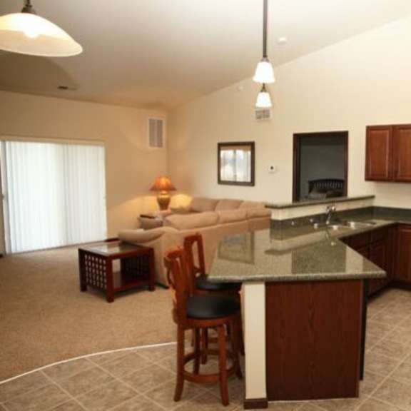 a kitchen with a black refrigerator and wooden cabinets.