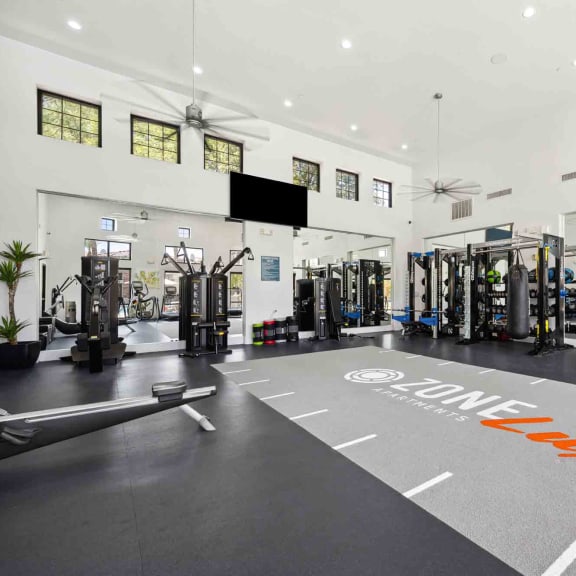 a gym with weights and cardio equipment