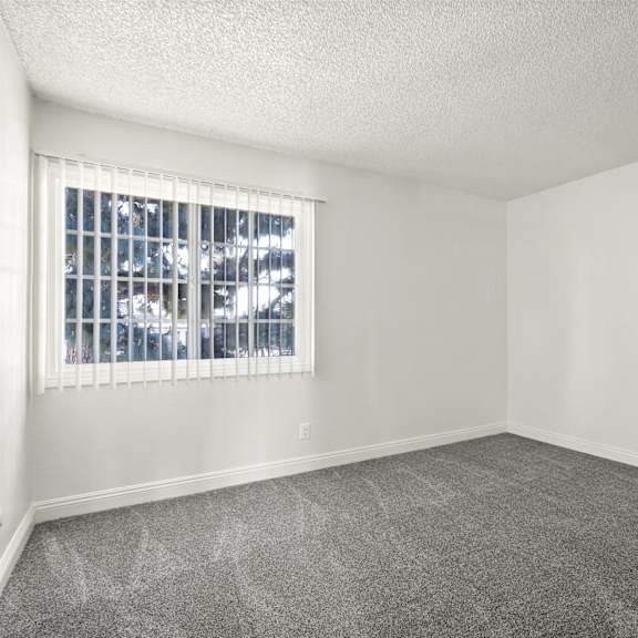 a room with a carpeted floor and a window with blinds.