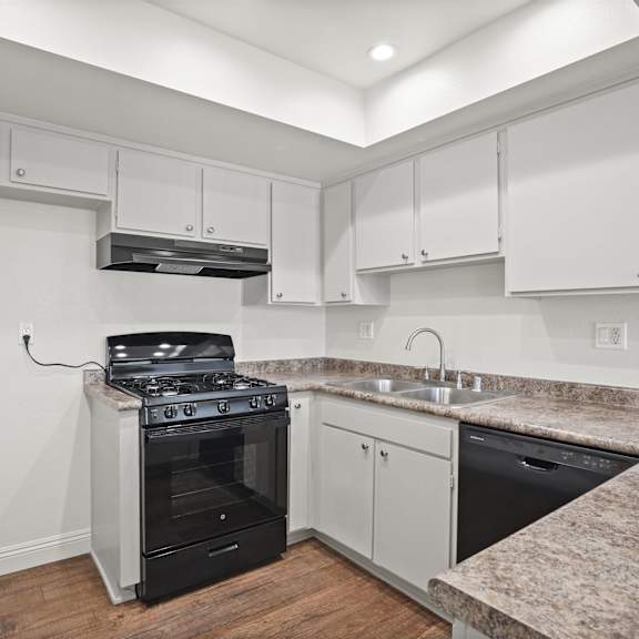 a kitchen with a stove top oven and a dishwasher.