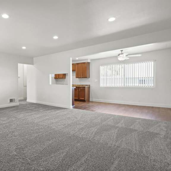 a spacious room with a grey carpet and a wooden floor.
